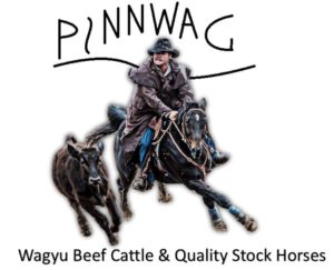 PinnWagLogo