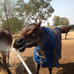 Tommy loves water