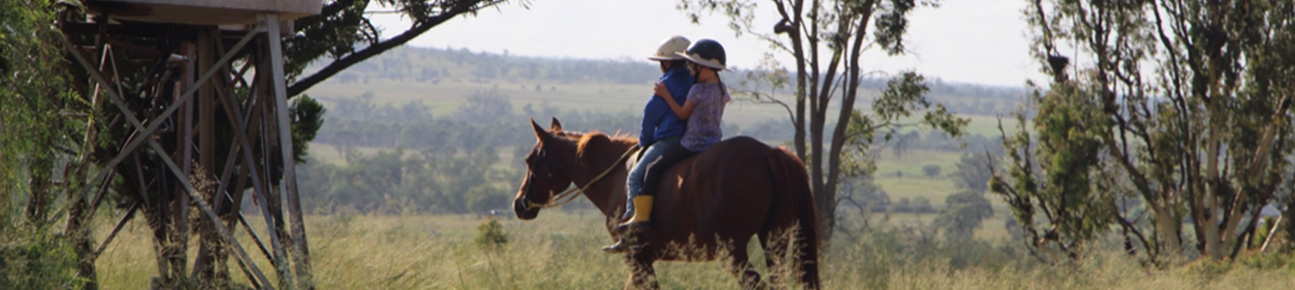working-horses working-horses
